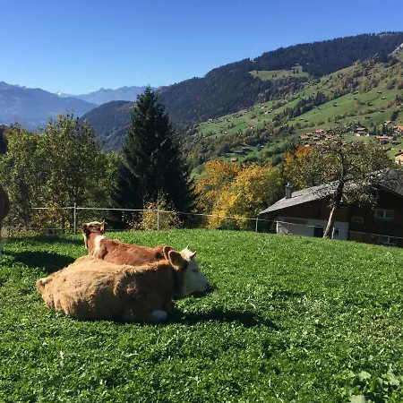 Chalet Elisabeth * Habkern
